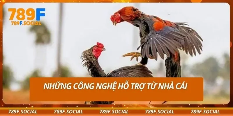 Những công nghệ hỗ trợ từ nhà cái