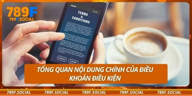 Tổng quan nội dung chính của điều khoản điều kiện