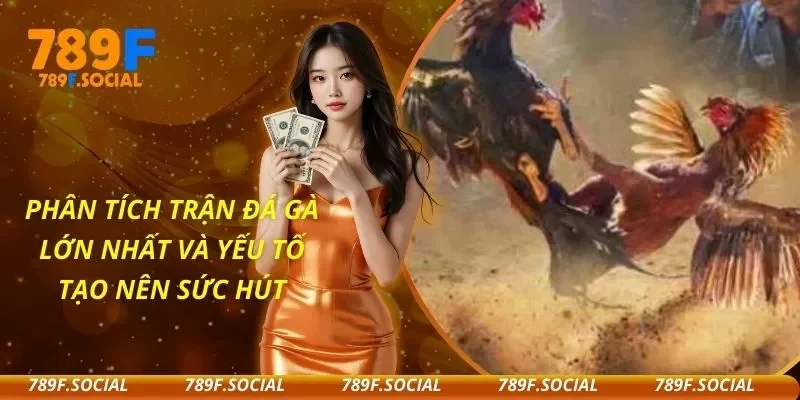 Phân Tích Trận Đá Gà Lớn Nhất Và Yếu Tố Tạo Nên Sức Hút