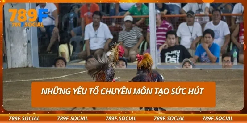 Những yếu tố chuyên môn tạo sức hút